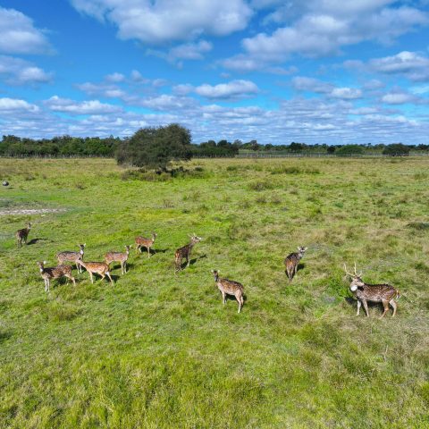 imagen del campo